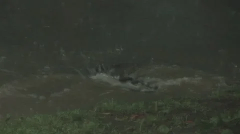 Overflowing drain Stock Footage 7129862