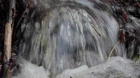 An overflowing forest stream flows fast through the grass and stones. Static sho Stock Footage 37379990