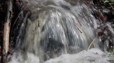 An overflowing forest stream flows fast through the grass and stones. Static sho Stock-Footage 37380710