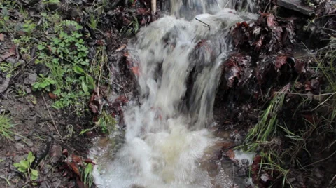 An overflowing forest stream flows fast through the grass and stones. Stock-Footage 37383692