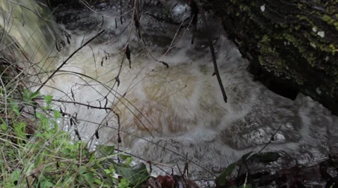 An overflowing forest stream flows fast through the grass and stones. Stock Footage 37386861