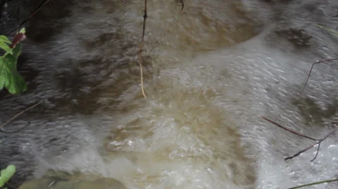An overflowing forest stream flows fast through the grass and stones. Stock Footage 37387984
