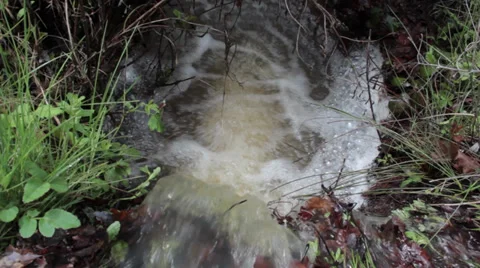 An overflowing forest stream flows fast through the grass and stones. Stock Footage 37389212