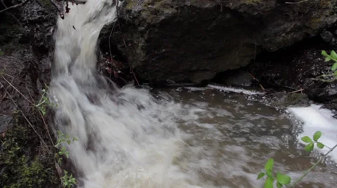 An overflowing forest stream flows fast through the grass and stones. Stock Footage 37390104
