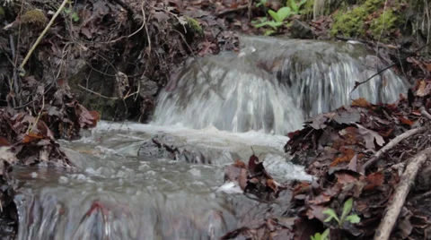 An overflowing forest stream flows fast through the grass and stones. Stock Footage 37390563
