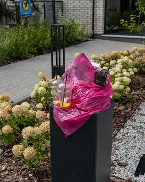 Overflowing garbage bin with plastic cups and trash on street Photos
