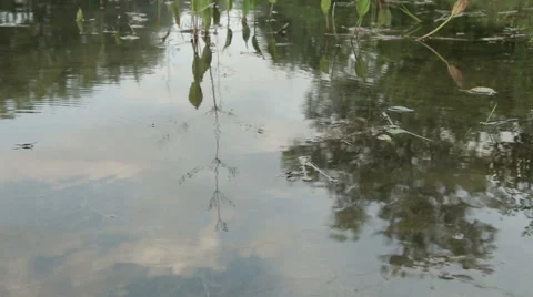 Overflowing river delta in the jungle during the rainy season. Stock Footage 65595945