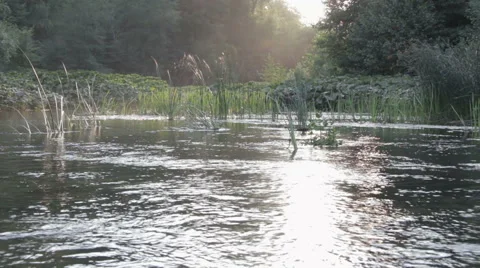 Overflowing river delta in the jungle during the rainy season. Stock Footage 65771817