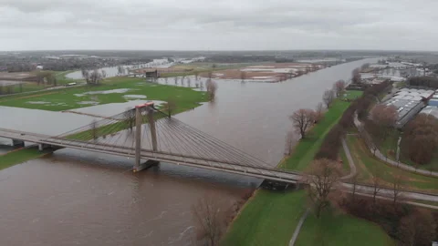 Overflowing river in the Netherlands during high tides with trees under water Stock Footage 259846937