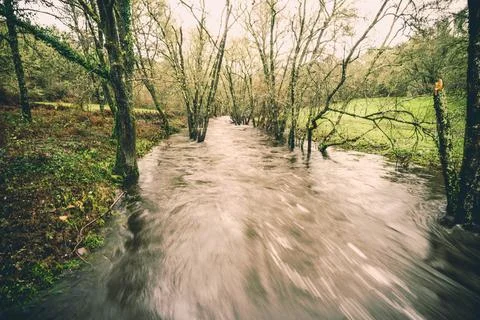 Overflowing river Stock Photos