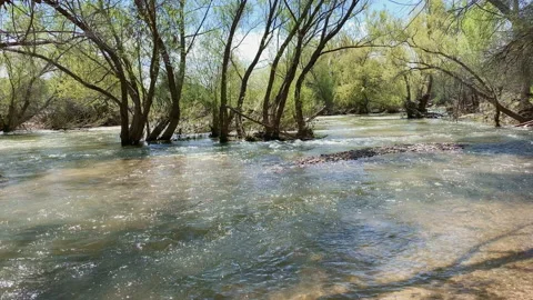 Overflowing river Rio Verde after opening dam Stock Footage 213537399