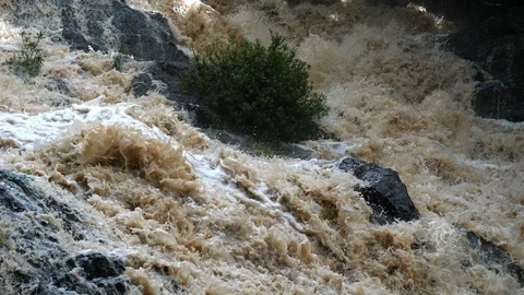 Overflowing river wild waters real time Stock Footage 91837543