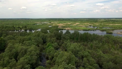 Overflowing rivers, flooded forests, flooded fields, swamps Stock Footage 249057847