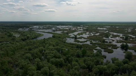 Overflowing rivers, flooded forests, flooded fields, swamps Stock Footage 249057862