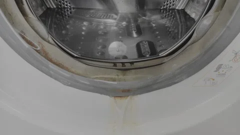 Overflowing Water from Open Front Load Washing Machine with Dirty Moldy Gasket Stock Footage 334851346