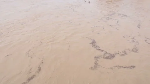 Overflown river with mud and debris Stock Footage 48196463