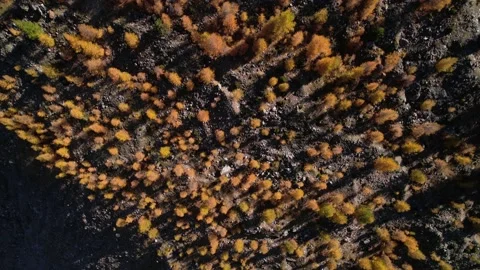Overfly steep black mountain with orange autumn forest in Switzerland Stock Footage 164671804