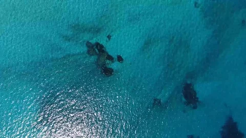 Overfly on translucent sea water Video stock 128804305