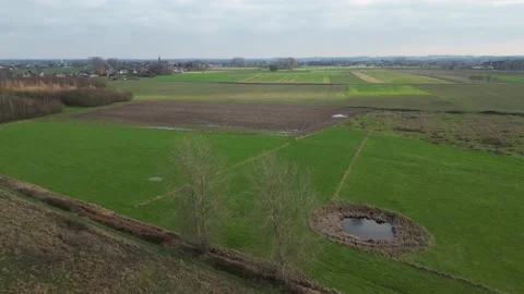 Overflying drone aerial field generic green trees grass rural agriculture europe Stock Footage 233295936