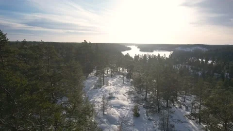 Overflying a winter forest Stock Footage 231635124