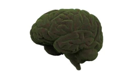 Overgrown brain Illustrazione stock