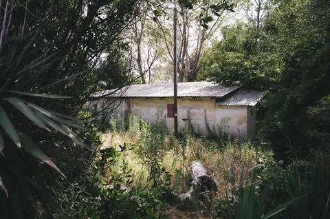 Overgrown Building in the Forest Stock Photos