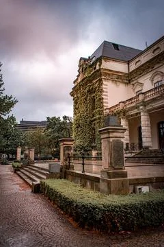 Overgrown building 스톡 사진