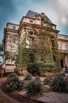 Overgrown building 스톡 사진