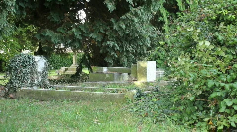 Overgrown cemetery  Video stock 862738