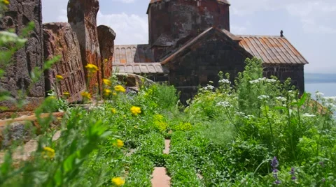 Overgrown Cemetery Vidéo 53232706