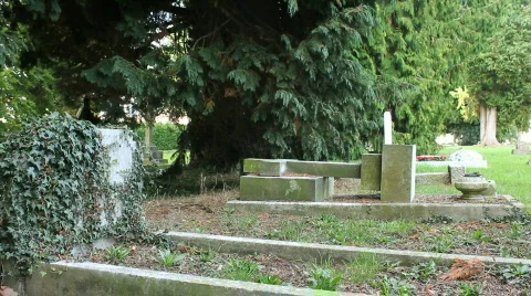 Overgrown cemetry Stockbeeldmateriaal 862757