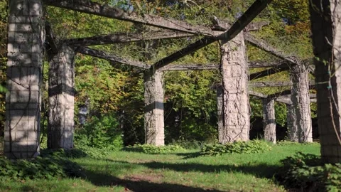 Overgrown columns in park garden in Fall Video stock 329478975