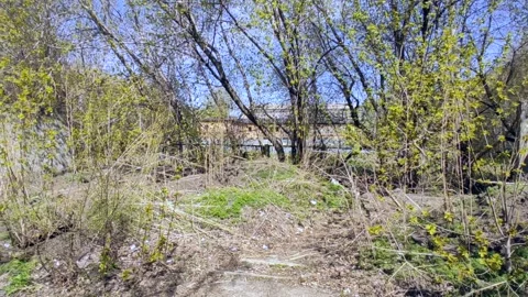 Overgrown earthen hummocks between buildings Stock-Footage 241711837