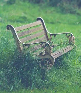 Overgrown Empty Bench Stock Photos
