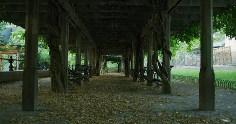 Overgrown Enclave In Central Park Video stock 94379149