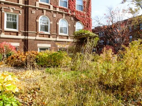 Overgrown Fall Garden Stock Photos