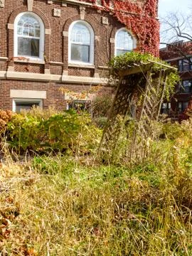 Overgrown Fall Garden Stock Photos