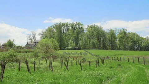 Overgrown farm field Stock Footage 75462444