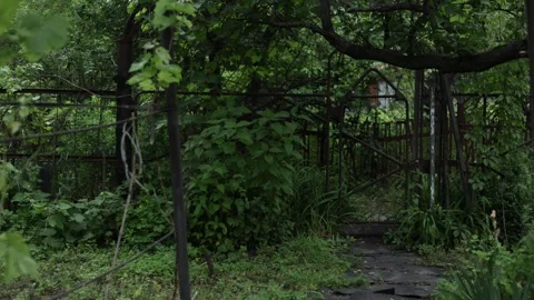 Overgrown garden gate with weathered stone path and lush green foliage Stock Footage 337134227
