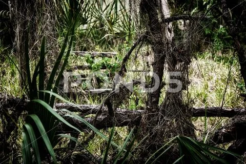 Overgrown garden swing Stock Photos