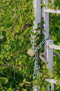 Overgrown gate security featuring metal chain and padlock securing access a.. Stock Photos