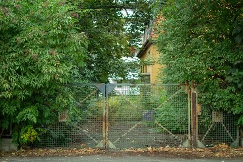 Overgrown gate surrounded by greenery in a quiet residential area during late Stock Photos