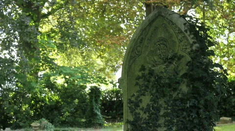 Overgrown grave Video stock 862773