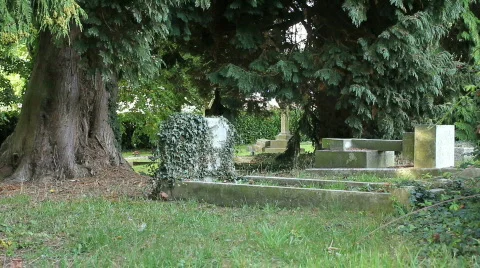 Overgrown graveyard Video stock 862784