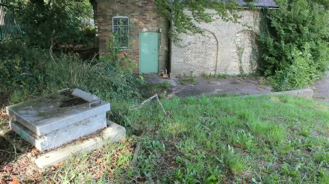 Overgrown hatch and building Video stock 862862