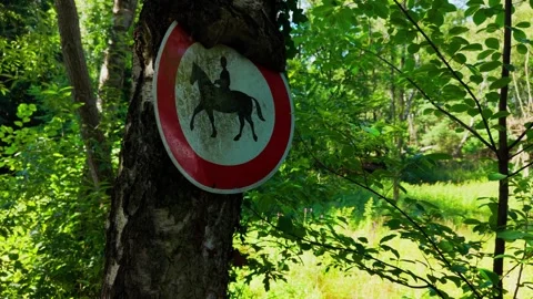 Overgrown no riding sign on tree Stock Footage 341382448