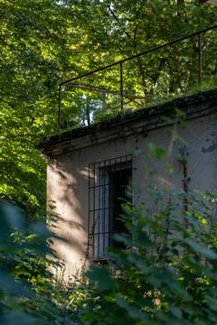 Overgrown old abandoned building featuring a barred window Foto stock