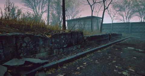 Overgrown pathway leads to abandoned structure in foggy rural setting Vídeos de archivo 305440085
