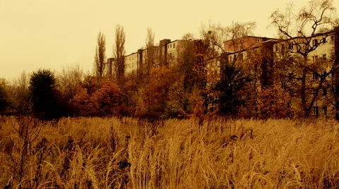 An Overgrown Plot in the City Stock Footage 49932549