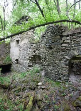 Overgrown ruins in the forest Stock Photos